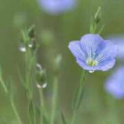ヒメ日記 2025/06/03 12:57 投稿 香山橙子 お姉さんCLUB