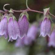 ヒメ日記 2025/06/05 19:28 投稿 香山橙子 お姉さんCLUB