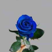 ヒメ日記 2025/06/20 23:03 投稿 香山橙子 お姉さんCLUB