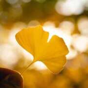 ヒメ日記 2025/10/30 17:19 投稿 香山橙子 お姉さんCLUB