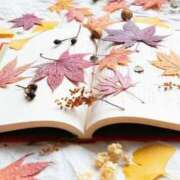 ヒメ日記 2025/11/03 08:48 投稿 香山橙子 お姉さんCLUB