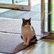 香山橙子 今日のお礼です お姉さんCLUB