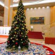 ヒメ日記 2025/11/26 18:49 投稿 香山橙子 お姉さんCLUB