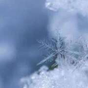 ヒメ日記 2025/12/12 07:27 投稿 香山橙子 お姉さんCLUB