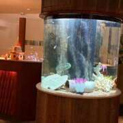 ヒメ日記 2026/01/10 12:22 投稿 香山橙子 お姉さんCLUB