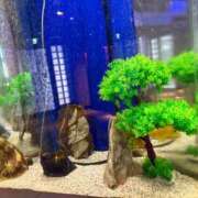 香山橙子 昨日のお礼です お姉さんCLUB