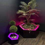 ヒメ日記 2026/03/20 12:22 投稿 香山橙子 お姉さんCLUB