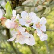 ヒメ日記 2026/04/27 23:27 投稿 香山橙子 お姉さんCLUB