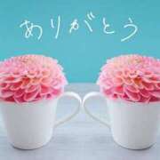 ヒメ日記 2025/06/15 17:13 投稿 宮間ひな 札幌ソフィア