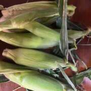 ヒメ日記 2025/06/22 12:20 投稿 リン★スレンダー美脚美女 BITEKI