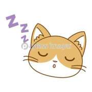 ヒメ日記 2025/02/23 01:33 投稿 ゆき TALENT（タレント）