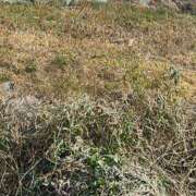 ヒメ日記 2025/02/25 16:29 投稿 ゆき TALENT（タレント）