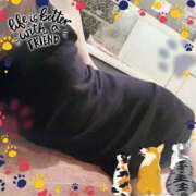 ヒメ日記 2025/04/10 20:07 投稿 ゆき TALENT（タレント）