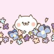 ヒメ日記 2025/11/21 17:45 投稿 ゆき TALENT（タレント）