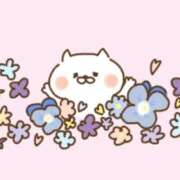 ゆき 寒さ引き続き TALENT（タレント）