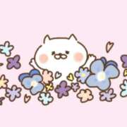 ゆき 昨日も🙇今日は成人の日 TALENT（タレント）