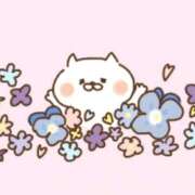 ヒメ日記 2026/04/06 14:02 投稿 ゆき TALENT（タレント）