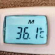 ヒメ日記 2025/04/01 11:55 投稿 りん ファッションヘルス カリスマ