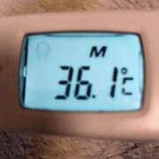 ヒメ日記 2025/04/05 12:02 投稿 りん ファッションヘルス カリスマ