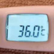 ヒメ日記 2025/04/17 12:06 投稿 りん ファッションヘルス カリスマ