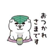 ヒメ日記 2025/04/17 17:05 投稿 りん ファッションヘルス カリスマ