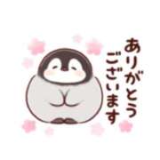 りん 2025年 ファッションヘルス カリスマ