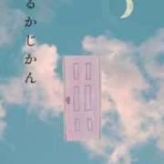 ヒメ日記 2025/04/16 08:48 投稿 はるか Bijou R