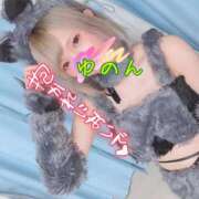 ヒメ日記 2025/03/26 08:01 投稿 ゆのん きらめけ！にゃんにゃん学園in大宮