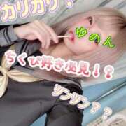 ヒメ日記 2025/08/03 16:45 投稿 ゆのん きらめけ！にゃんにゃん学園in大宮