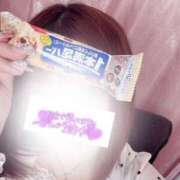 ヒメ日記 2025/03/11 11:48 投稿 はな 成田富里インターちゃんこ