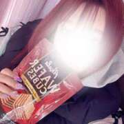 ヒメ日記 2025/04/12 15:58 投稿 はな 成田富里インターちゃんこ