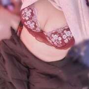 ヒメ日記 2025/04/14 15:38 投稿 はな 成田富里インターちゃんこ