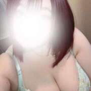 ヒメ日記 2025/04/18 13:28 投稿 はな 成田富里インターちゃんこ