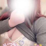 ヒメ日記 2025/04/19 09:18 投稿 はな 成田富里インターちゃんこ