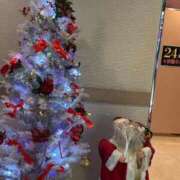 ヒメ日記 2025/11/18 23:08 投稿 はな 成田富里インターちゃんこ