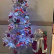 ヒメ日記 2025/12/02 21:58 投稿 はな 成田富里インターちゃんこ