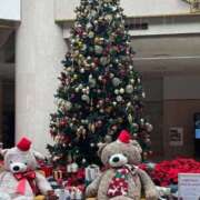 ヒメ日記 2025/12/18 16:48 投稿 はな 成田富里インターちゃんこ