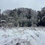 ヒメ日記 2026/02/09 00:08 投稿 はな 成田富里インターちゃんこ