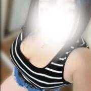 ヒメ日記 2026/04/01 11:48 投稿 はな 成田富里インターちゃんこ