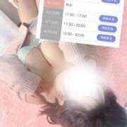 ヒメ日記 2026/04/09 16:28 投稿 はな 成田富里インターちゃんこ