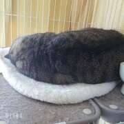 ヒメ日記 2025/02/04 07:42 投稿 なな【ド痴女・イラマ無料】 仙台大人の秘密倶楽部