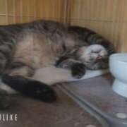 ヒメ日記 2025/06/28 09:33 投稿 なな【ド痴女・イラマ無料】 仙台大人の秘密倶楽部