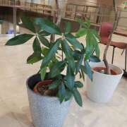 ヒメ日記 2025/11/22 14:03 投稿 なな【ド痴女・イラマ無料】 仙台大人の秘密倶楽部