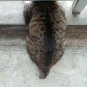 ヒメ日記 2025/11/28 08:48 投稿 なな【ド痴女・イラマ無料】 仙台大人の秘密倶楽部