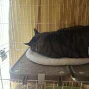 なな【ド痴女・イラマ無料】 おやすみ 仙台大人の秘密倶楽部