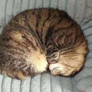 ヒメ日記 2026/02/04 15:57 投稿 なな【ド痴女・イラマ無料】 仙台大人の秘密倶楽部