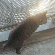 ヒメ日記 2026/02/05 11:42 投稿 なな【ド痴女・イラマ無料】 仙台大人の秘密倶楽部