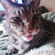 なな【ド痴女・イラマ無料】 [お題]from:マックさん 仙台大人の秘密倶楽部