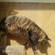 ヒメ日記 2026/03/11 11:33 投稿 なな【ド痴女・イラマ無料】 仙台大人の秘密倶楽部