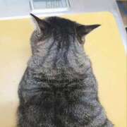 ヒメ日記 2026/03/19 14:18 投稿 なな【ド痴女・イラマ無料】 仙台大人の秘密倶楽部